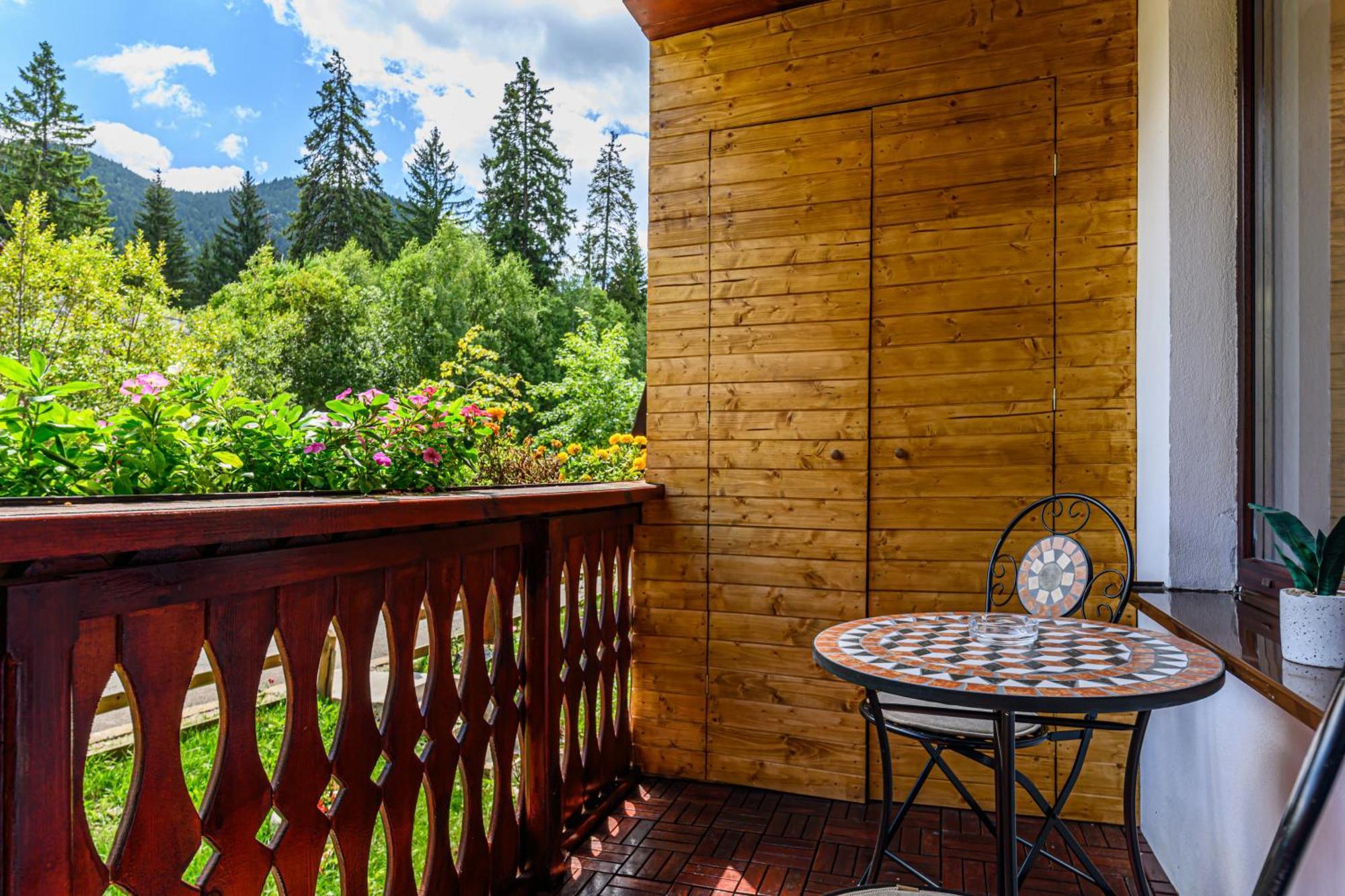 Studio Enis Poiana Brasov Buitenkant foto